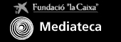 http://www.mediatecaonline.net